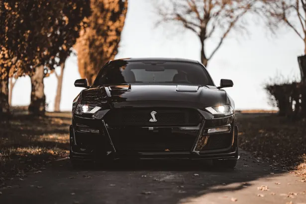 Kazino Golden Palace Android/iOS programa